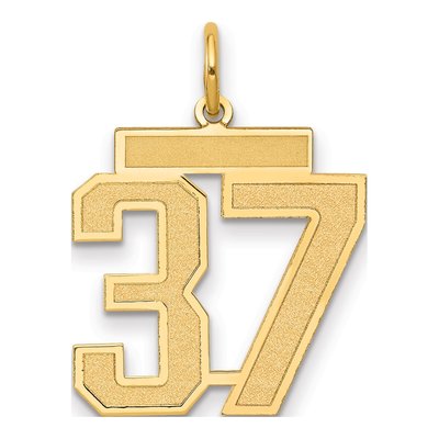 14K Yellow Gold Number 37 Charm