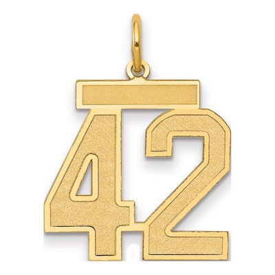 14K Yellow Gold Number 42 Charm