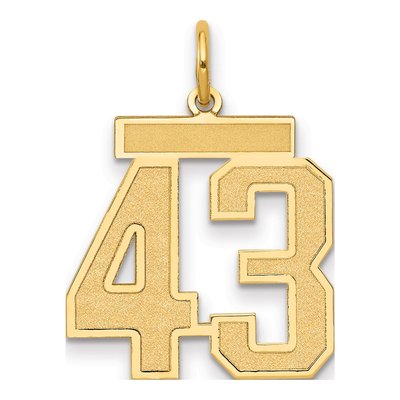 14K Yellow Gold Number 43 Charm