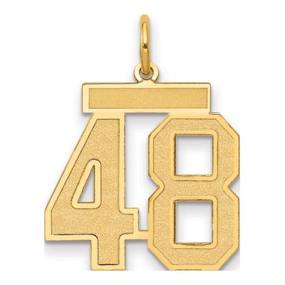 14K Yellow Gold Number 48 Charm