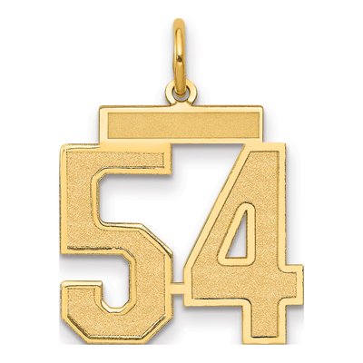 14K Yellow Gold Number 54 Charm