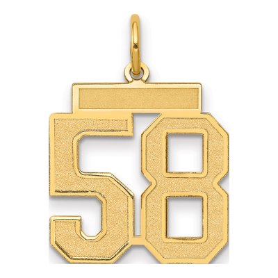 14K Yellow Gold Number 58 Charm