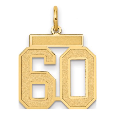 14K Yellow Gold Number 60 Charm