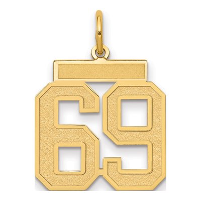 14K Yellow Gold Number 69 Charm