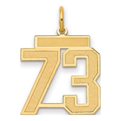 14K Yellow Gold Number 73 Charm