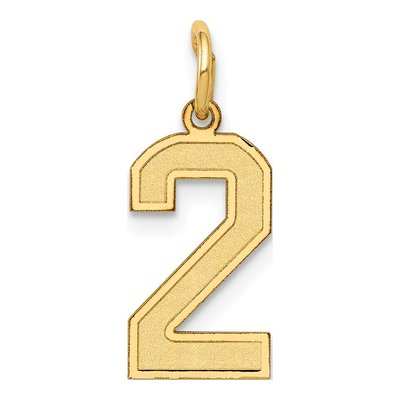 14K Yellow Gold Small Number 2 Pendant