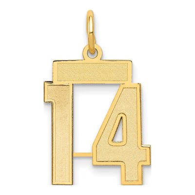 14K Yellow Gold Small Number 14 Charm