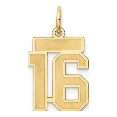 14K Yellow Gold Small Number 16 Charm