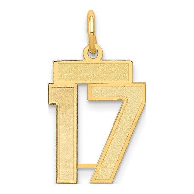 14K Yellow Gold Small Number 17 Charm