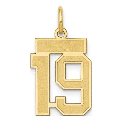 14K Yellow Gold Small Number 19 Charm