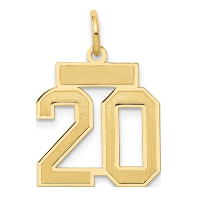 14K Yellow Gold Number 20 Charm