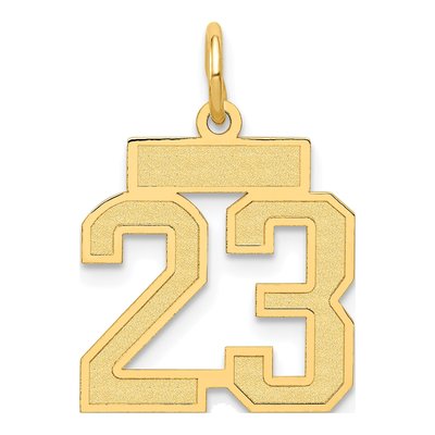 14K Yellow Gold Small Number 23 Charm