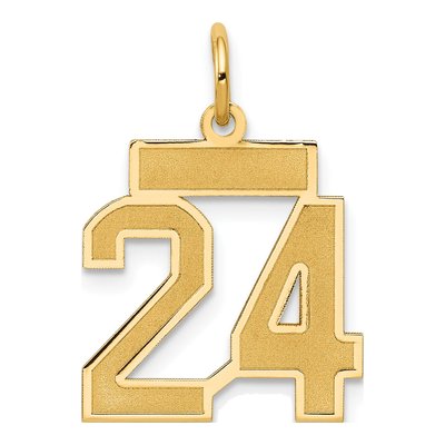 14K Yellow Gold Small Number 24 Charm