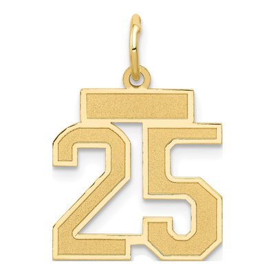 14K Yellow Gold Number 25 Charm