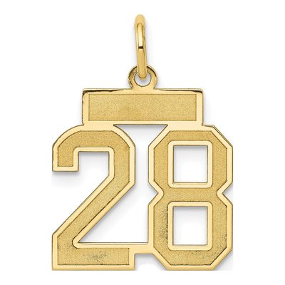 14K Yellow Gold Small Number 28 Charm