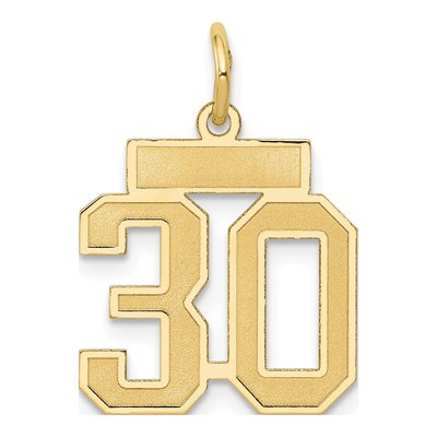 14K Yellow Gold Small Number 30 Charm