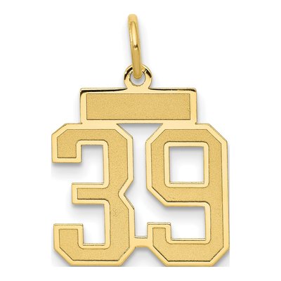 14K Yellow Gold Small Number 39 Charm