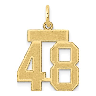 14K Yellow Gold Small Number 48 Charm