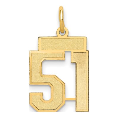 14K Yellow Gold Small Number 51 Charm