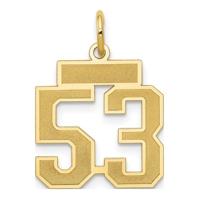 14K Yellow Gold Number 53 Charm