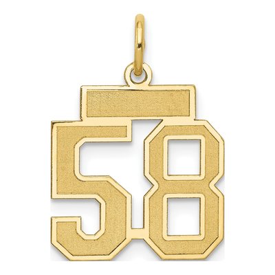 14K Yellow Gold Small Number 58 Charm