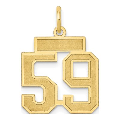 14K Yellow Gold Small Number 59 Charm