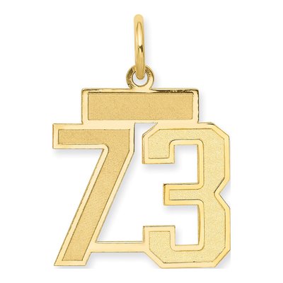 14K Yellow Gold Small Number 73 Pendant