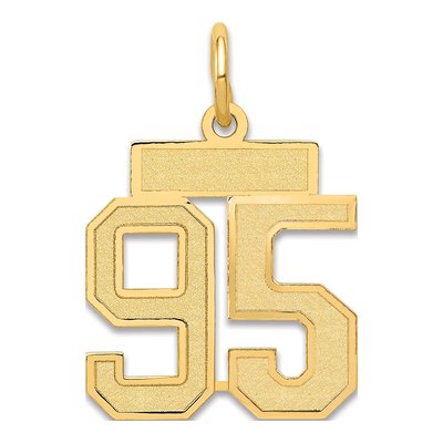 14K Yellow Gold Number 95 Charm
