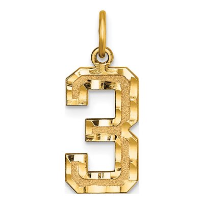 14K Yellow Gold Diamond-Cut Number 3 Charm