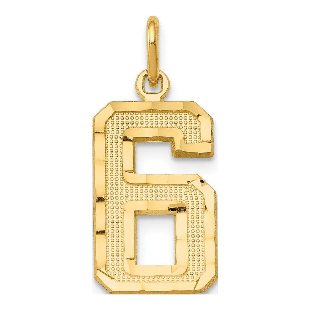 14K Yellow Gold Number 6 Charm