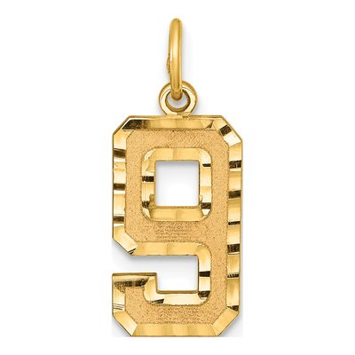 14K Yellow Gold Number 9 Charm