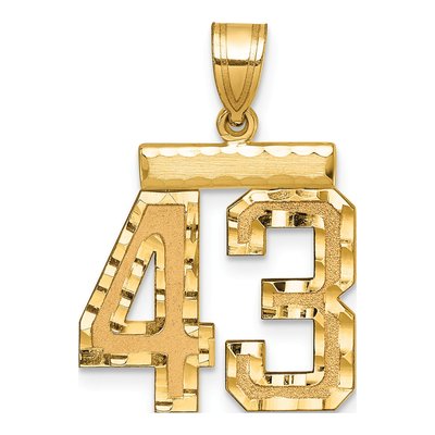 14K Yellow Gold Number 43 Charm