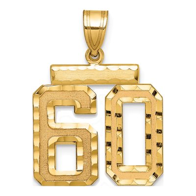 14K Yellow Gold Number 60 Charm