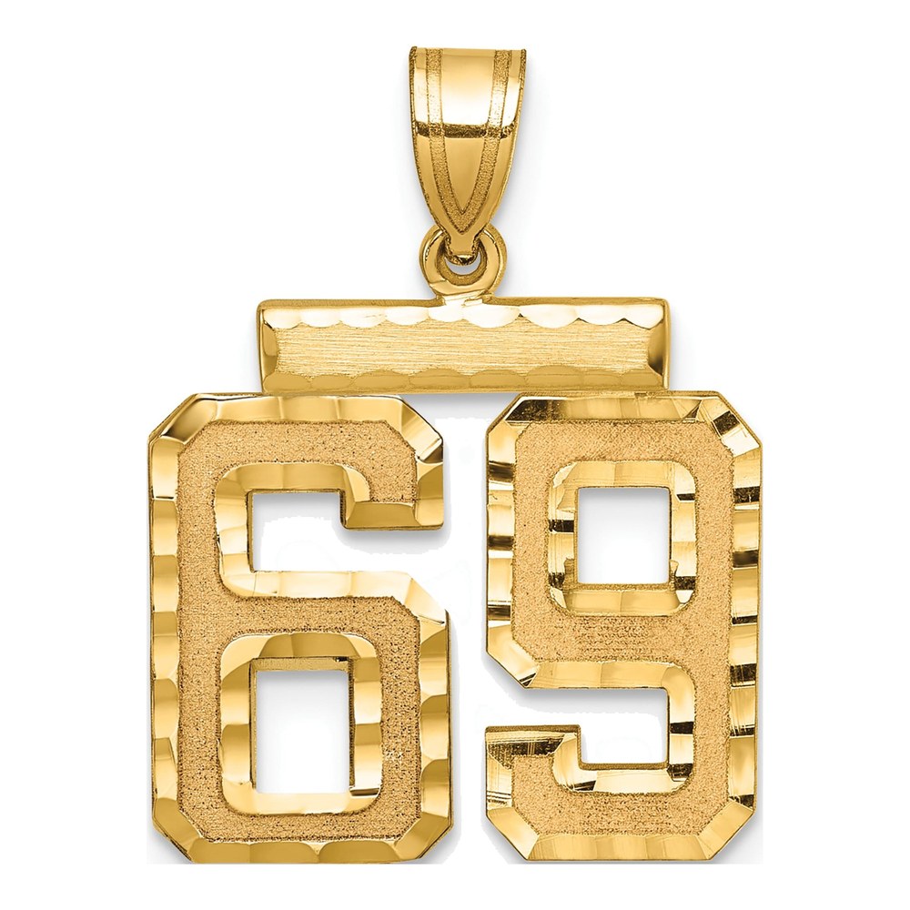 14K Yellow Gold Number 69 Charm