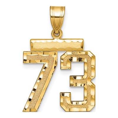 14K Yellow Gold Diamond-Cut Number 73 Charm
