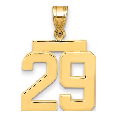14K Yellow Gold Number 29 Charm