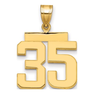 14K Yellow Gold Number 35 Charm