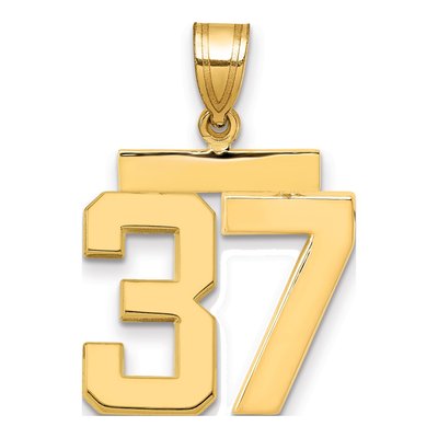 14K Yellow Gold Number 37 Charm