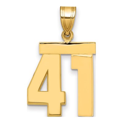 14K Yellow Gold Number 41 Charm