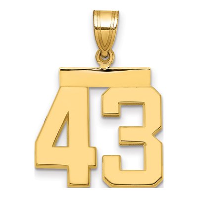 14K Yellow Gold Number 43 Charm