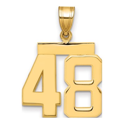 14K Yellow Gold Number 48 Charm