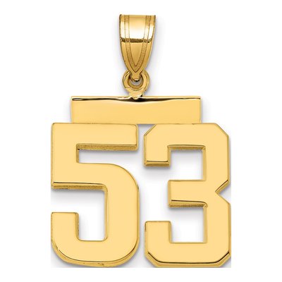 14K Yellow Gold Number 53 Charm