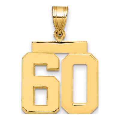 14K Yellow Gold Number 60 Charm