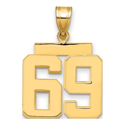 14K Yellow Gold Number 69 Charm