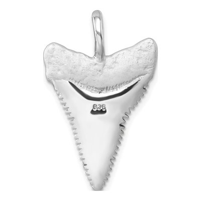 Sterling Silver Shark Tooth Pendant – view 4