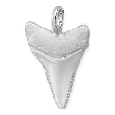 Sterling Silver Shark Tooth Pendant – view 5