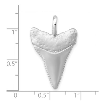 Sterling Silver Shark Tooth Pendant – view 6