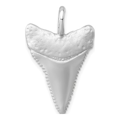 Sterling Silver Shark Tooth Pendant