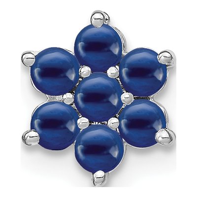 14K White Gold Sapphire Floral Slide Pendant