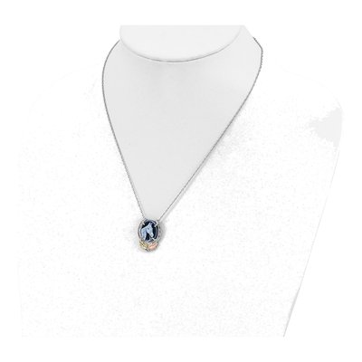 Sterling Silver Black Hills Horseshoe Pendant Necklace – view 2